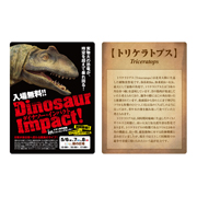 チラシ