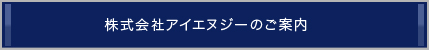 株式会社アイエヌジーのご案内